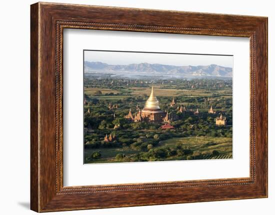 The Golden Stupa of Dhammayazika Pagoda Amongst Some Other Terracotta Buddhist Temples in Bagan-Annie Owen-Framed Photographic Print