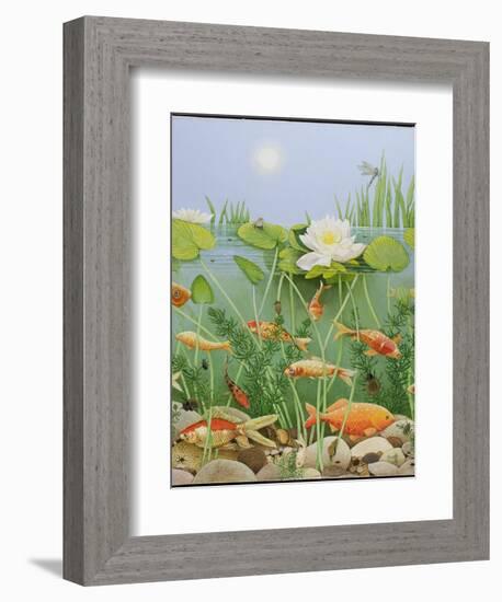 The Golden Touch, 2011-Pat Scott-Framed Premium Giclee Print