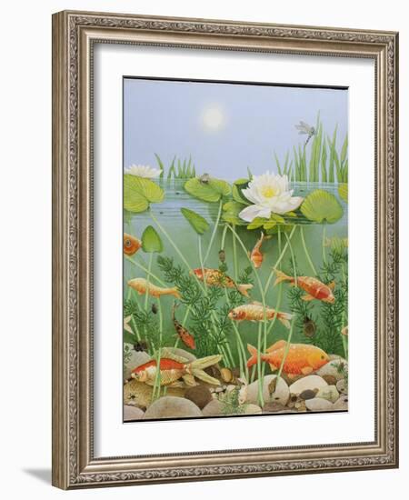 The Golden Touch, 2011-Pat Scott-Framed Giclee Print