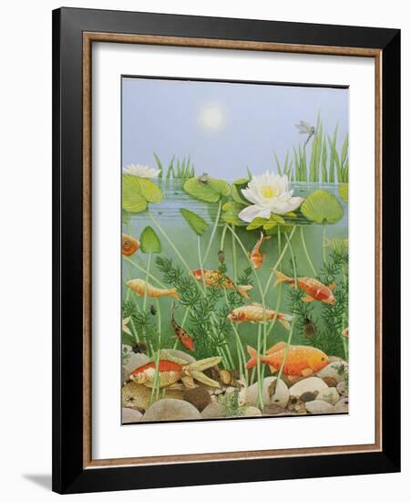 The Golden Touch, 2011-Pat Scott-Framed Giclee Print