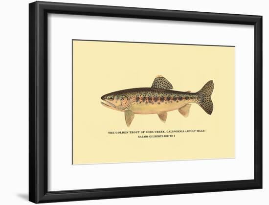 The Golden Trout of Soda Creek-H.h. Leonard-Framed Art Print