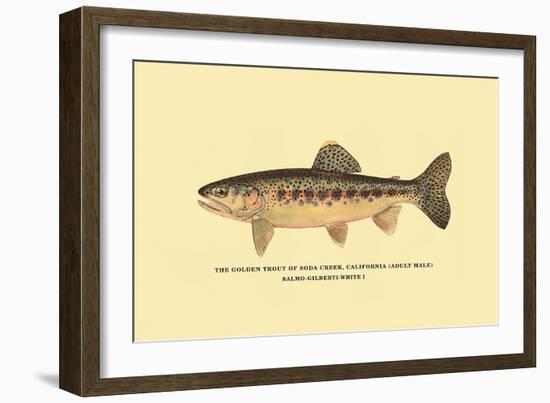 The Golden Trout of Soda Creek-H.h. Leonard-Framed Art Print