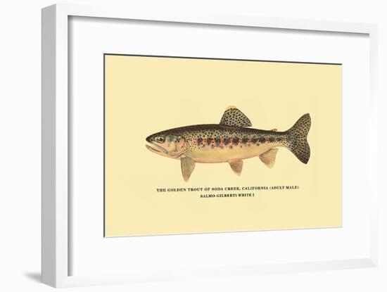 The Golden Trout of Soda Creek-H.h. Leonard-Framed Art Print