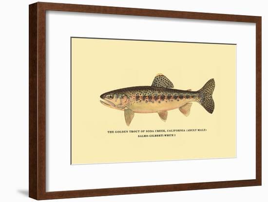 The Golden Trout of Soda Creek-H.h. Leonard-Framed Art Print