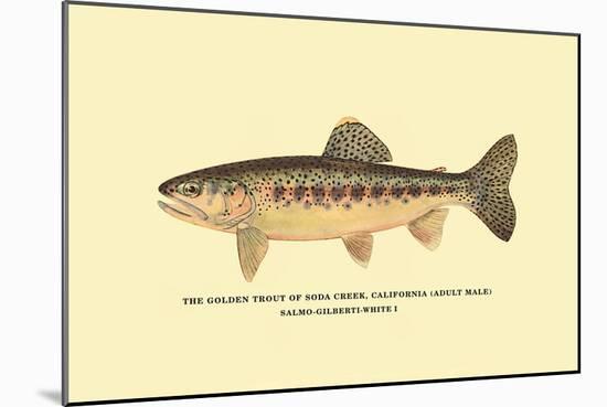 The Golden Trout of Soda Creek-H.h. Leonard-Mounted Art Print