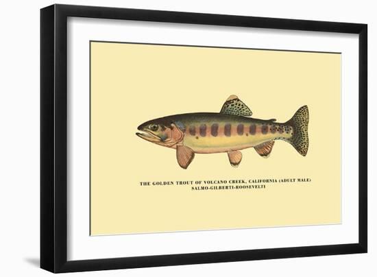 The Golden Trout of Volcano Creek-H.h. Leonard-Framed Art Print