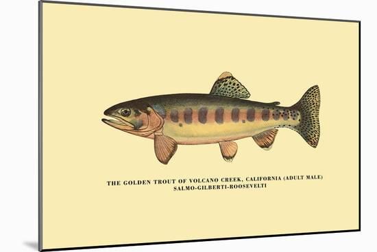 The Golden Trout of Volcano Creek-H.h. Leonard-Mounted Art Print