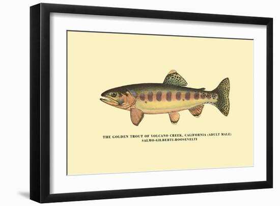 The Golden Trout of Volcano Creek-H.h. Leonard-Framed Art Print