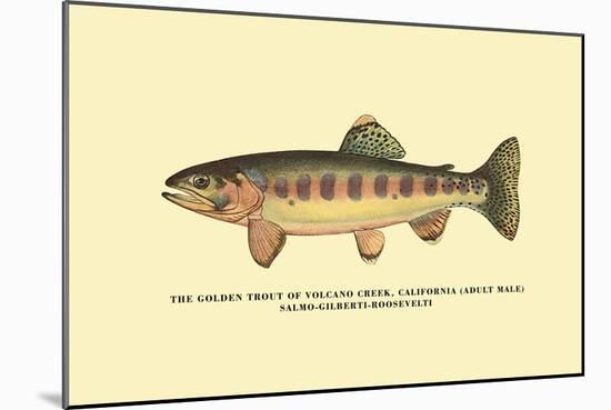 The Golden Trout of Volcano Creek-H.h. Leonard-Mounted Art Print