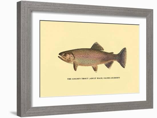 The Golden Trout-H.h. Leonard-Framed Art Print