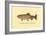 The Golden Trout-H.h. Leonard-Framed Art Print