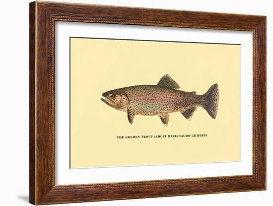 The Golden Trout-H.h. Leonard-Framed Art Print