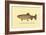 The Golden Trout-H.h. Leonard-Framed Art Print