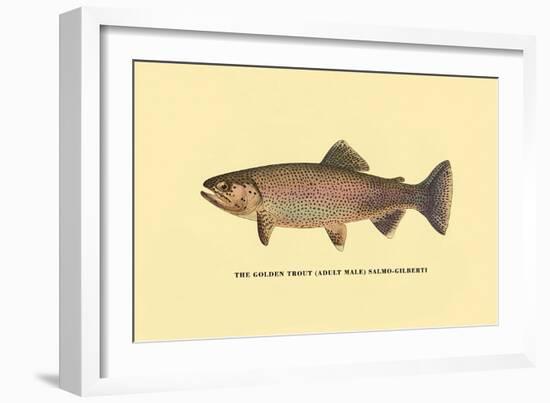 The Golden Trout-H.h. Leonard-Framed Art Print