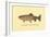 The Golden Trout-H.h. Leonard-Framed Art Print