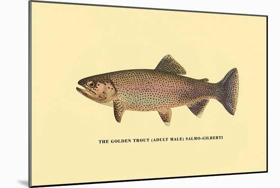 The Golden Trout-H.h. Leonard-Mounted Art Print