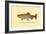 The Golden Trout-H.h. Leonard-Framed Art Print