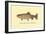 The Golden Trout-H.h. Leonard-Framed Art Print