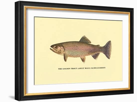 The Golden Trout-H.h. Leonard-Framed Art Print