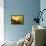 The Golden Universe-Thomas Leung-Framed Premier Image Canvas displayed on a wall