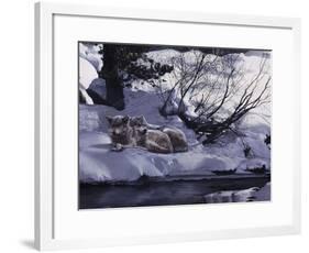 The Good Place-Wolves-Terry Isaac-Framed Art Print