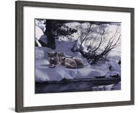 The Good Place-Wolves-Terry Isaac-Framed Art Print