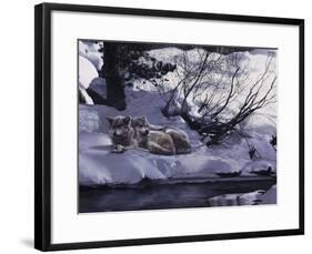The Good Place-Wolves-Terry Isaac-Framed Art Print