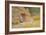 The Goose Girl-Arthur Claude Strachan-Framed Giclee Print