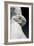 The Graces and Cupid, Detail of the Embrace and a Hand, 1820-22 (Carrara Marble)-Bertel Thorvaldsen-Framed Giclee Print