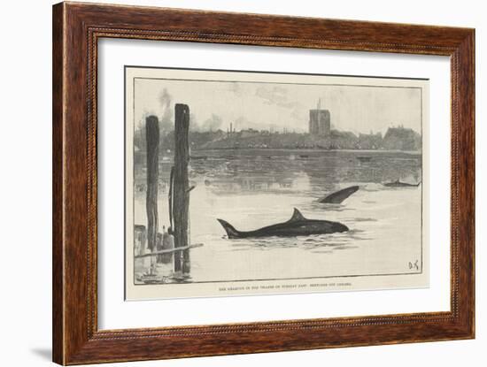 The Grampus in the Thames on Tuesday Last, Sketched Off Chelsea-Davidson Knowles-Framed Giclee Print