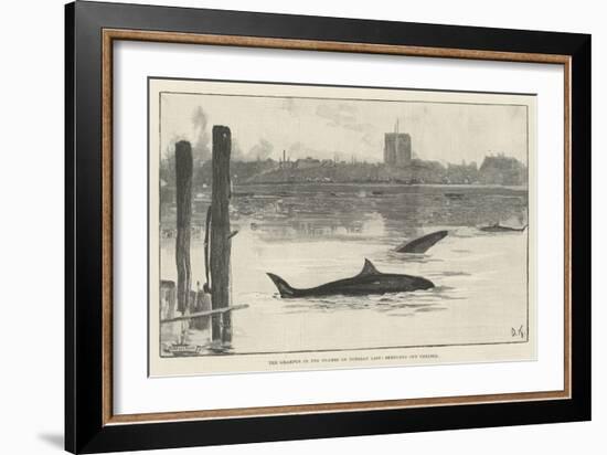 The Grampus in the Thames on Tuesday Last, Sketched Off Chelsea-Davidson Knowles-Framed Giclee Print