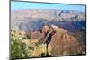 The Grand Canyon-meunierd-Mounted Photographic Print