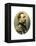 The Grand Duke Nicholas, 19th Century-Petter & Galpin Cassell-Framed Premier Image Canvas