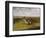 The Grand Leicestershire Steeplechase, March 12Th, 1829: the Field Becomes Select-Henry Thomas Alken-Framed Giclee Print