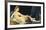 The Grand Odalisque, 1814-Jean Auguste Dominique Ingres-Framed Art Print