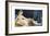 The Grand Odalisque-Jean-Auguste-Dominique Ingres-Framed Premium Giclee Print