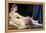 The Grand Odalisque-Jean-Auguste-Dominique Ingres-Framed Premier Image Canvas