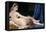 The Grand Odalisque-Jean-Auguste-Dominique Ingres-Framed Premier Image Canvas