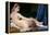 The Grand Odalisque-Jean-Auguste-Dominique Ingres-Framed Premier Image Canvas