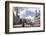 The Grand Place (Grote Markt)-Julian-Framed Photographic Print