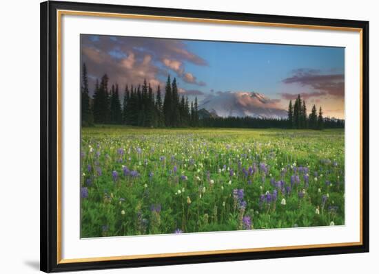 The Grand Stage-Michael Greene-Framed Giclee Print