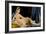 The Grande Odalisque, 1814-Jean-Auguste-Dominique Ingres-Framed Giclee Print