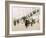 The Grandstand Staircase at the Longchamps Jockey Club-Sem-Framed Giclee Print