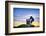 The Grape Crusher Statue agains Dramatic Sky, Napa Valley, California-George Oze-Framed Photographic Print