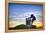 The Grape Crusher Statue agains Dramatic Sky, Napa Valley, California-George Oze-Framed Premier Image Canvas