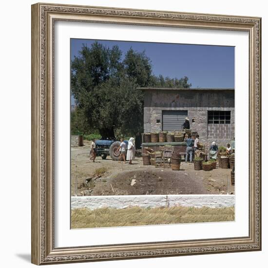 The Grape-Harvest in Rhodes-CM Dixon-Framed Photographic Print