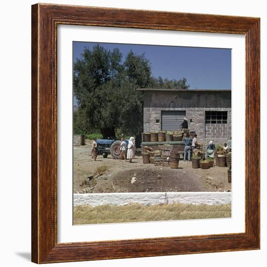 The Grape-Harvest in Rhodes-CM Dixon-Framed Photographic Print