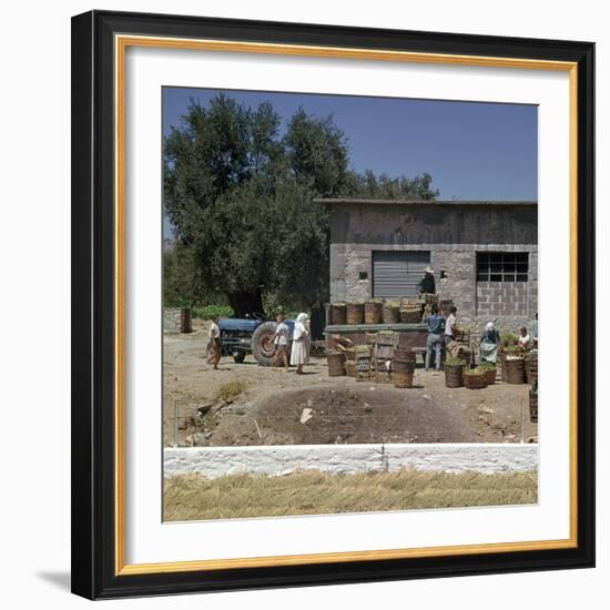 The Grape-Harvest in Rhodes-CM Dixon-Framed Photographic Print