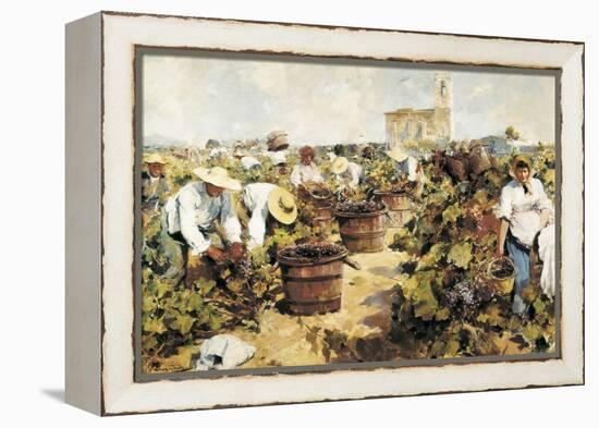 The Grape Harvest-Arcadi Mas y Fondevila-Framed Stretched Canvas