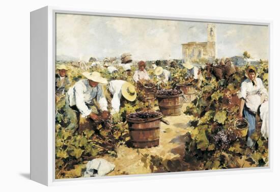 The Grape Harvest-Arcadi Mas y Fondevila-Framed Stretched Canvas